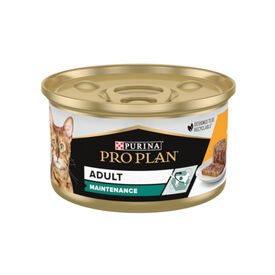 Pro Plan Adult Maintenance Frango em lata para gatos